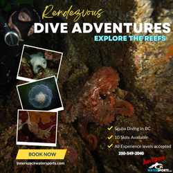 rendezvous dive adventures ad