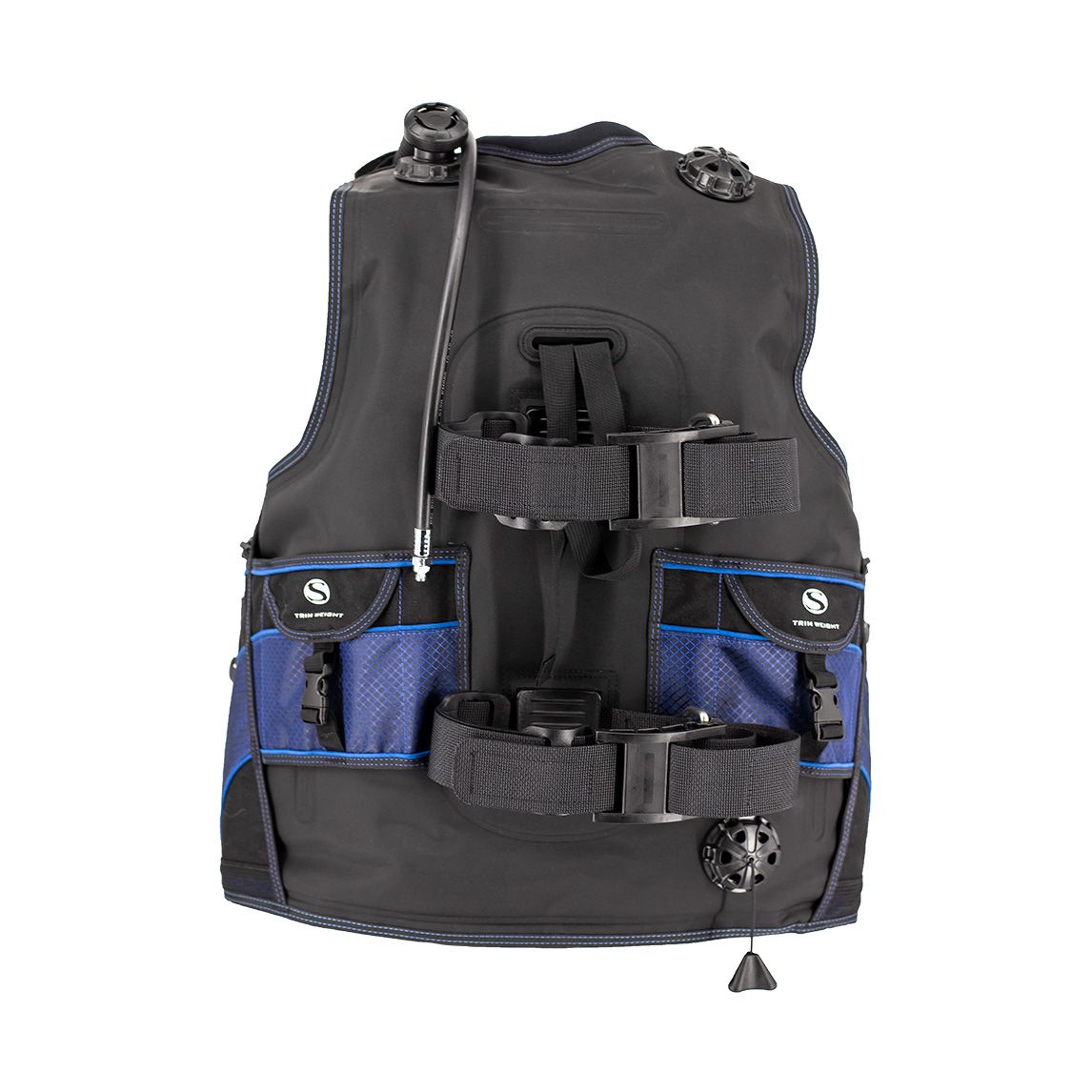 AViD BCD back